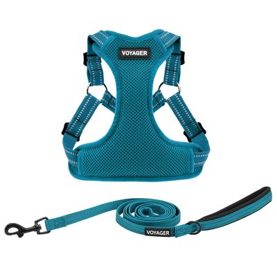 Voyager Step-in Flex Dog Harness and Reflective Leash Combo Set, XS