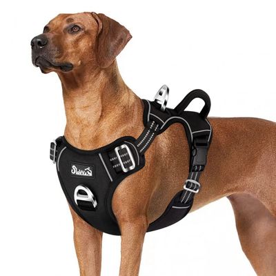 Eyein Dog Harness with 2 Clips and Easy-to-Use Handle
