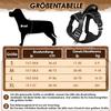 Eyein Dog Harness with 2 Clips and Easy-to-Use Handle view 2