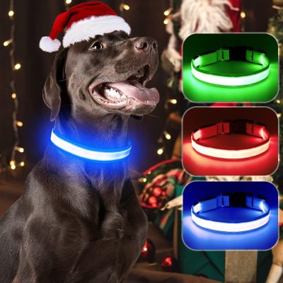 Visinite LED Dog Collar - Rechargeable, Waterproof, Reflective, Fully Adjustable, Flashing for Medium and Large Dogs