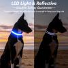 Visinite LED Dog Collar - Rechargeable, Waterproof, Reflective, Fully Adjustable, Flashing for Medium and Large Dogs view 3