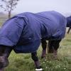 All Weather Pro Waterproof Turnout Rug, Navy, 160–7'0, 0 g view 3