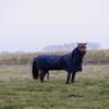 All Weather Pro Waterproof Turnout Rug, Navy, 160–7'0, 0 g view 4