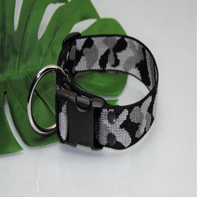 Nylon Collar, 4 cm, Snow Camouflage, Strain-Relief Buckle