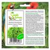 30x Round-Leaf Pearlwort Micranthemum umbrosum Aquarium Plants - Seeds view 3