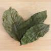 Dried Green Walnut Leaves (25 pcs, approx. 15g) view 2