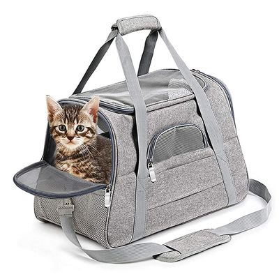 APKEY Airline-Approved Pet Carrier for Cats and Small Dogs