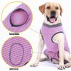 Dotoner Recovery Suit for Dogs and Cats, Wound Protection for Puppies, Medical Clothing After Surgery, E-Collar and Cone Alternative view 3