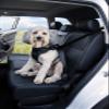 DogMaster 2.0 Dog Safety Belt, Black, Size M view 2