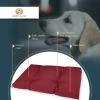BARRY & LUCY Soft Quilted Dog Bed, Washable & Durable, XL, Beige view 3