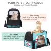 Pet Carrier, Cartoon Ambulance, Blue Background, Soft-Sided, Foldable, Airline-Approved view 3