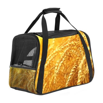 Pet Carrier Bag for Cats and Dogs, Yellow Ear, Grainy, Soft-Sided, Portable, Foldable, Airline Approved