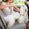 Adjustable Dog Safety Belt with Elastic Buffer view 2