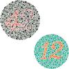 Ishihara Color Vision Test Book, 38 Plates view 4