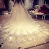 XXXXW Bridal Wedding Veil with Comb, Crystal Rhinestone Lace Headpiece, B Ivory view 2
