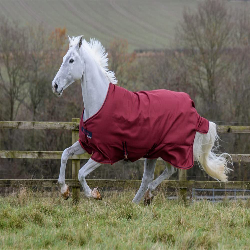 Freedom Turnout 300g Cherry 120