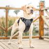 HEELE Dog Harness, No-Pull Harness for Large Dogs with Handle, Gray, L view 2