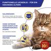 INABA Churu Senior Cat Treats with 30% Tuna view 3