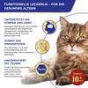 INABA Churu Senior Cat Treats with 30% Tuna view 4