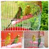 Anawakia Mineral Stones Bird Perch, Purple, 11 cm view 2