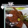 Feeding Tube for Shrimp Food view 1