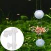 Feeding Tube for Shrimp Food view 3