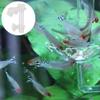 Feeding Tube for Shrimp Food view 4