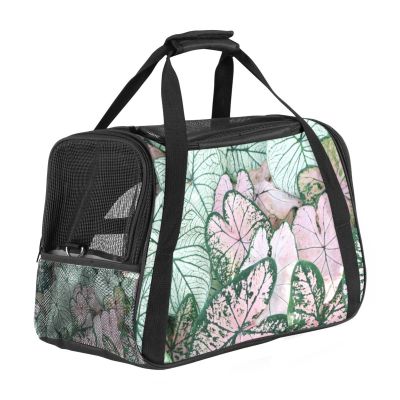 Pet Carrier Bag, Soft-Sided, for Cats, Dogs and Puppies, Comfortable, Portable, Foldable, Airline Approved