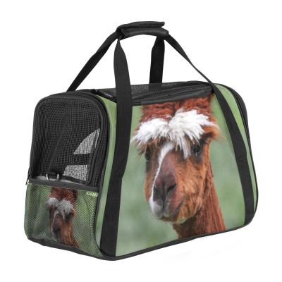 Alpaca Pet Carrier, Soft-Sided, Foldable, Airline-Approved