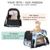 Soft-Sided Pet Carrier with Pirate Cat Design, Foldable and Airline-Approved view 3