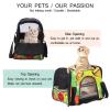 Pet Carrier Bag with Flower and Butterfly Design, Soft-Sided, Foldable view 3
