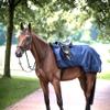 BUSSE RAINTRAINER 100 Riding Blanket view 1
