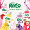 KATO - Melon Juice with Nata de Coco - Multipack (24 x 320 mL) view 4