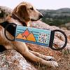 KEKID QR Code ID Tag, Silent and Personalized for Pets, with Free Online Pet Page view 2