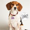 Engraved Dog Tag “ICH WRDE” – Custom Pet ID Tag for Small and Medium Dogs view 4