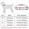 Engraved Personalized Dog Tag, Size M (37–58 cm) view 3