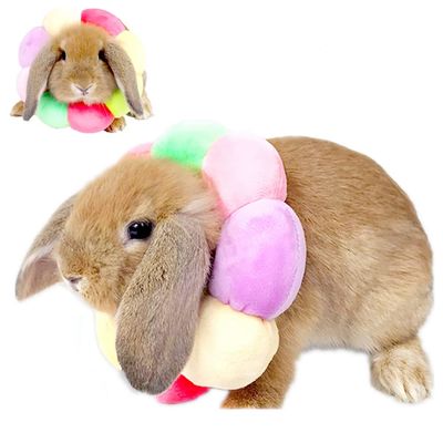 Elizabeth Recovery Collar for Rabbits, Adjustable, XS