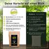 Organic Arrowroot Starch 1 kg – Gluten-Free Vegan Binder – Biotiva view 2