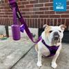 Best Pet Supplies Reusable Dog Waste Bag Holders for Leashes, Fuchsia, 2-Pack view 4
