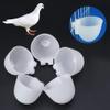 Feeding Bowl for Parrots, Birds, Hamsters - 5 Pack view 4