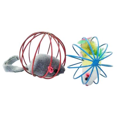 2 Pack Fun Cat Toys