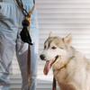 Dog Waste Bag Holder with Carabiner Clip view 2