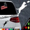 Labrador Frisbee Sticker, 6 Sizes, 21 Colors view 2