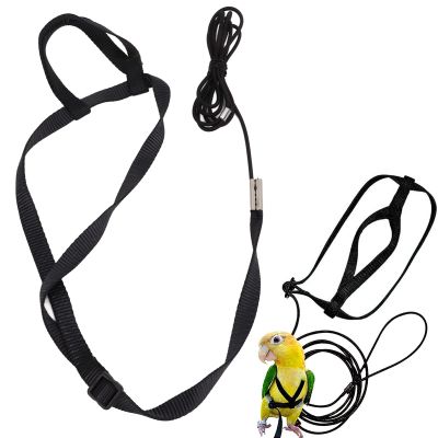 Parrot Harness and Leash
