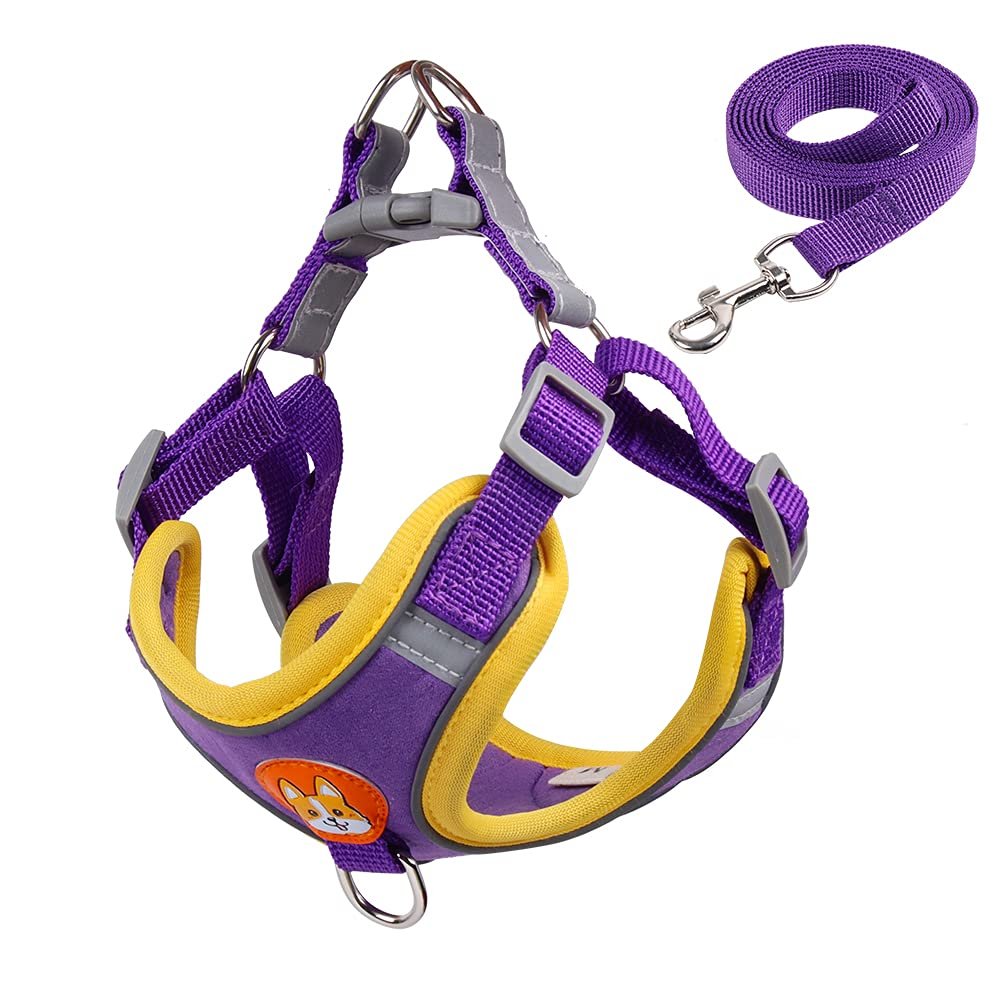 Small Dog Harness with Leash, Soft Reflective Suede, Adjustable, No-Pull, Size S, Purple
