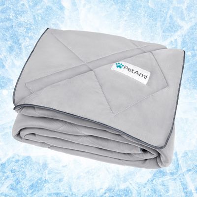 PetAmi Cooling Dog Blanket, Reversible Plush Pet Throw, 40 x 60 cm, Light Gray