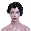 YTOOZ Black European and American Women's Rose-Net Short Curly Wig, 26 cm view 1