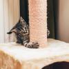 Natural Sisal Rope for Cat Scratching Posts, Repair and DIY Projects view 4