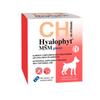 Chemical IBERICA Hyalophyt MSM Giants Joint Protector for Large Dogs view 1
