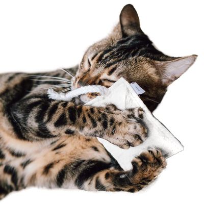 CanadianCat Company | Sustainable Cat Toy Cuddle Pillow with Rope and 5g Premium Valerian Filling